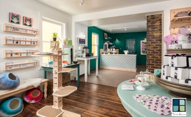 Cat Cafe Charlotte